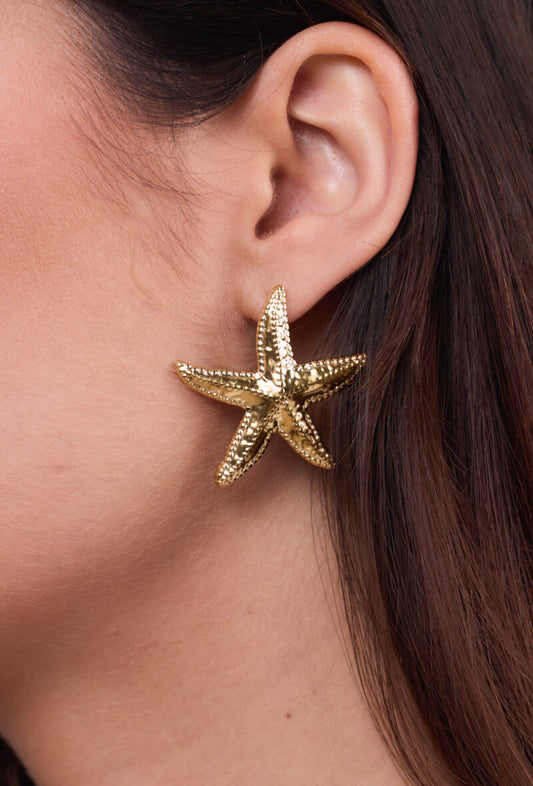 Sea Star Oorbellen Zilver